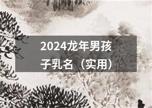 2024龙年男孩子乳名（实用）