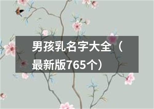 男孩乳名字大全（最新版765个）