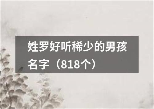 姓罗好听稀少的男孩名字（818个）