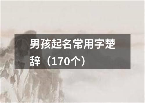 男孩起名常用字楚辞（170个）