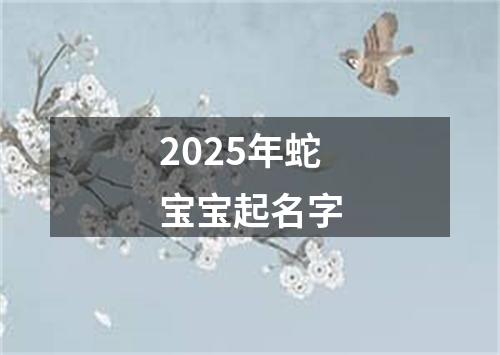 2025年蛇宝宝起名字