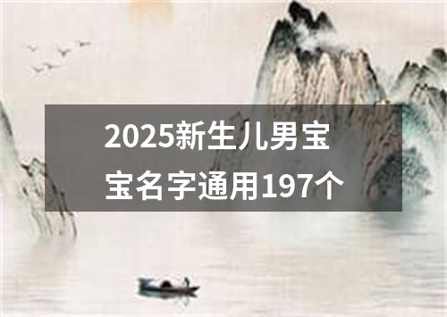 2025新生儿男宝宝名字通用197个