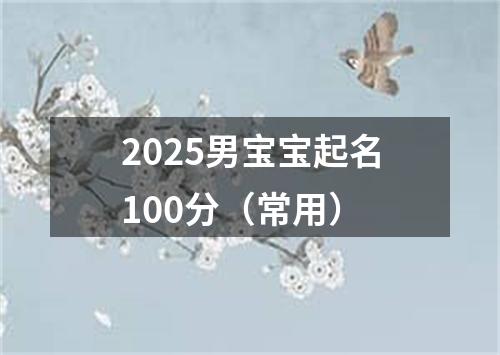 2025男宝宝起名100分（常用）