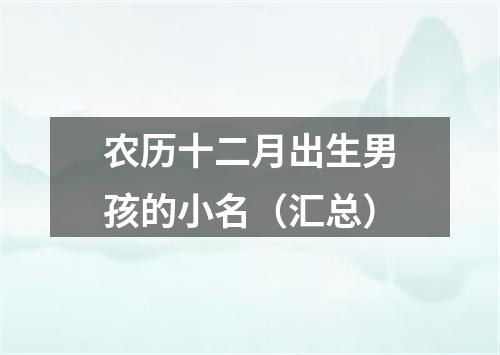 农历十二月出生男孩的小名（汇总）