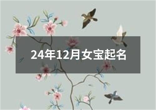 24年12月女宝起名