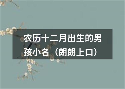 农历十二月出生的男孩小名（朗朗上口）