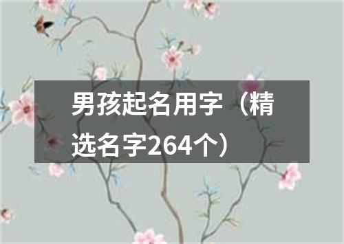 男孩起名用字（精选名字264个）