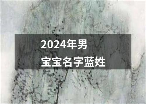 2024年男宝宝名字蓝姓