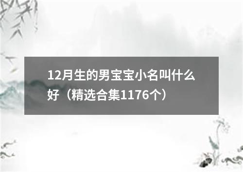 12月生的男宝宝小名叫什么好（精选合集1176个）