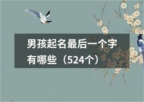 男孩起名最后一个字有哪些（524个）