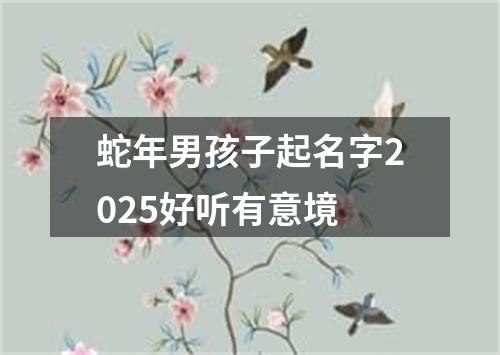 蛇年男孩子起名字2025好听有意境