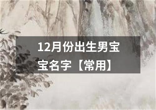 12月份出生男宝宝名字【常用】