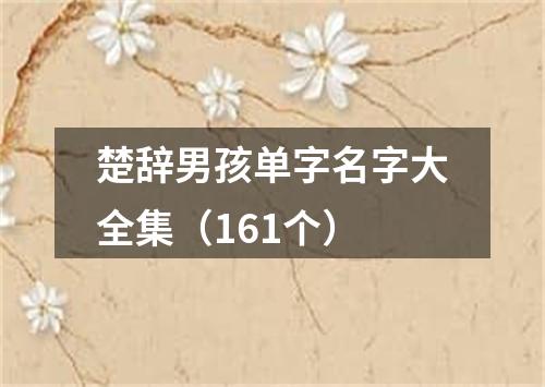 楚辞男孩单字名字大全集（161个）