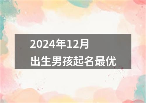 2024年12月出生男孩起名最优