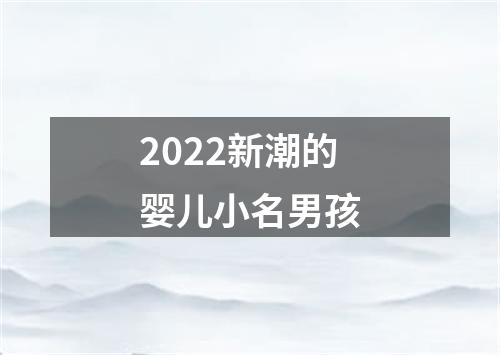 2022新潮的婴儿小名男孩