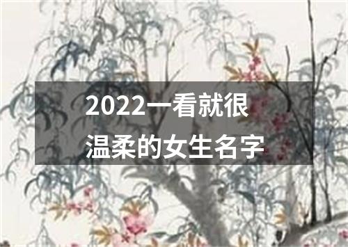 2022一看就很温柔的女生名字