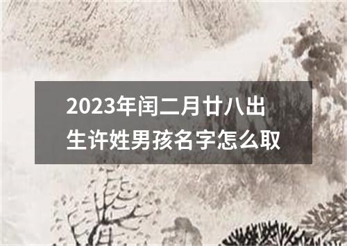 2023年闰二月廿八出生许姓男孩名字怎么取