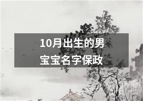 10月出生的男宝宝名字保政