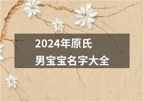 2024年原氏男宝宝名字大全