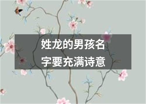 姓龙的男孩名字要充满诗意