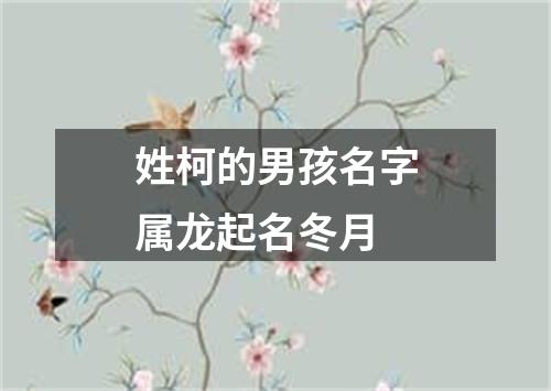 姓柯的男孩名字属龙起名冬月