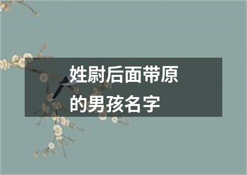 姓尉后面带原的男孩名字