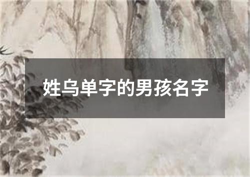 姓乌单字的男孩名字