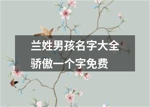 兰姓男孩名字大全骄傲一个字免费