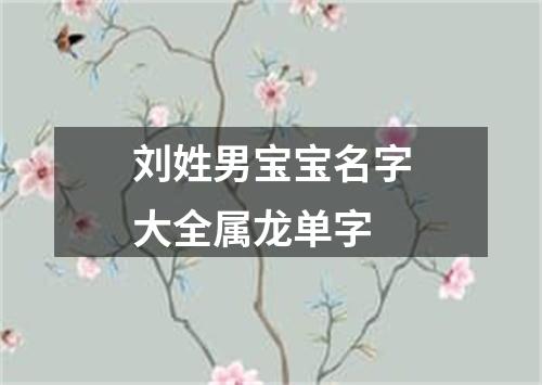 刘姓男宝宝名字大全属龙单字