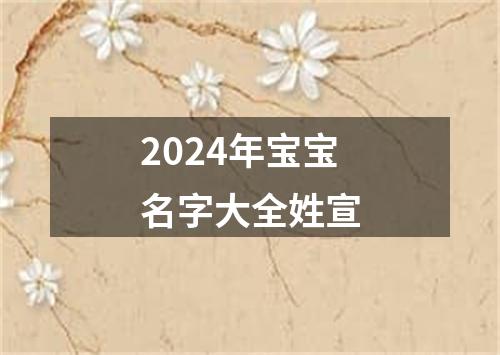 2024年宝宝名字大全姓宣