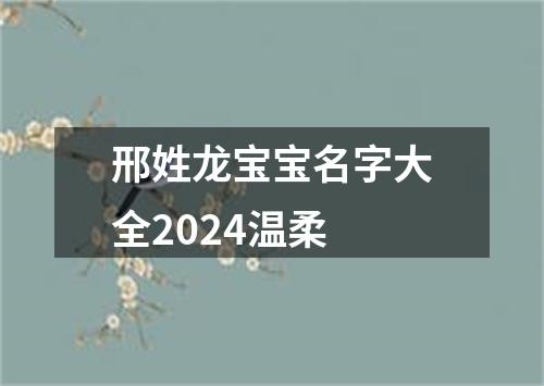 邢姓龙宝宝名字大全2024温柔