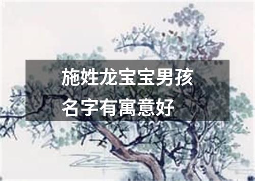 施姓龙宝宝男孩名字有寓意好