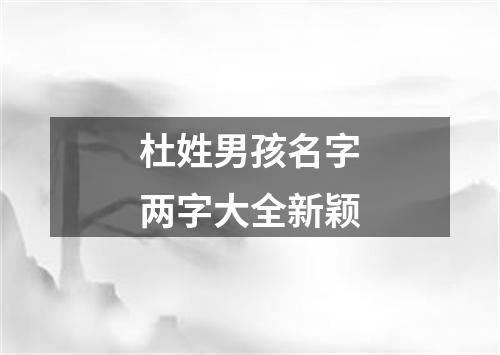 杜姓男孩名字两字大全新颖