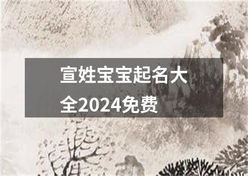 宣姓宝宝起名大全2024免费