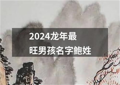 2024龙年最旺男孩名字鲍姓