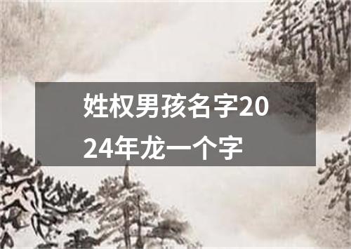 姓权男孩名字2024年龙一个字