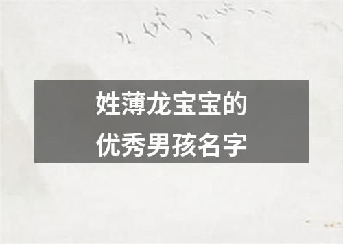 姓薄龙宝宝的优秀男孩名字