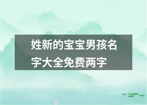 姓新的宝宝男孩名字大全免费两字