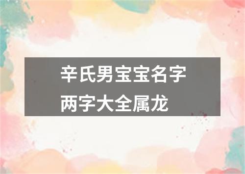 辛氏男宝宝名字两字大全属龙