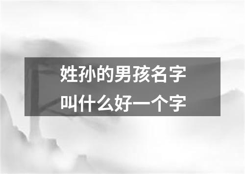 姓孙的男孩名字叫什么好一个字