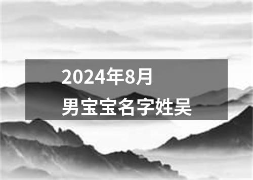 2024年8月男宝宝名字姓吴