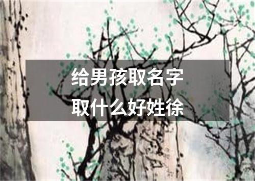 给男孩取名字取什么好姓徐