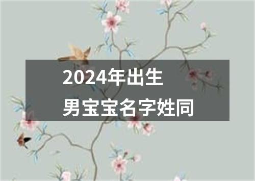 2024年出生男宝宝名字姓同