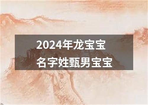 2024年龙宝宝名字姓甄男宝宝