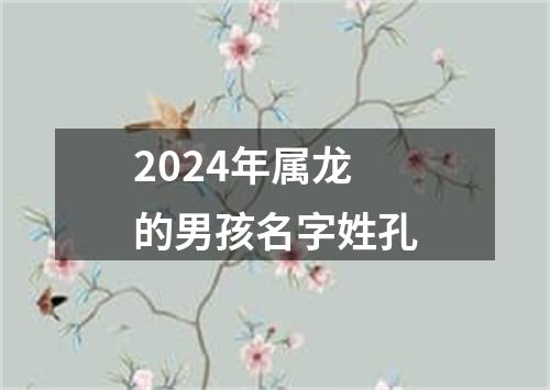 2024年属龙的男孩名字姓孔