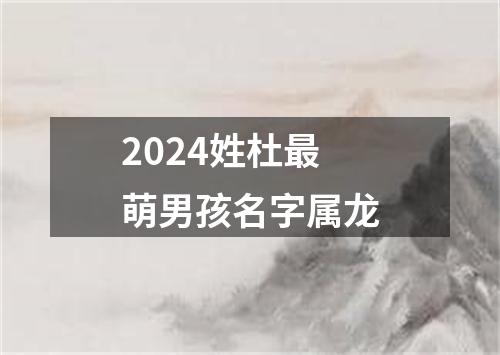 2024姓杜最萌男孩名字属龙