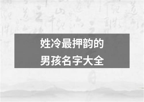 姓冷最押韵的男孩名字大全