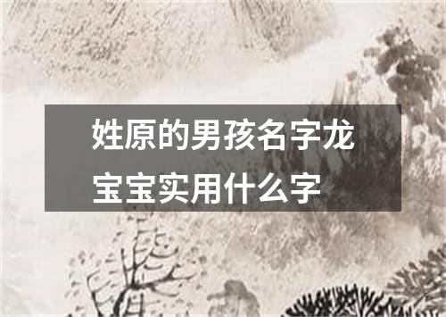 姓原的男孩名字龙宝宝实用什么字