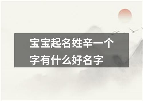 宝宝起名姓辛一个字有什么好名字