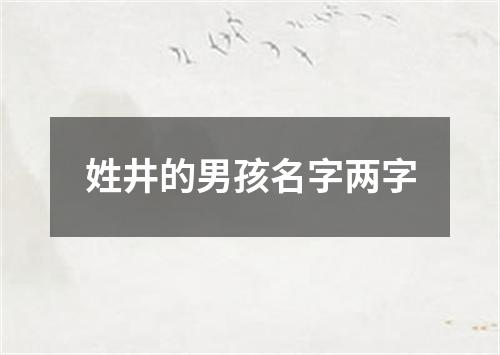 姓井的男孩名字两字